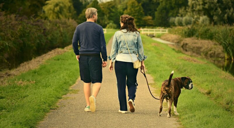 Skab en tættere bånd med din hund: 5 tips til en sjovere gåtur