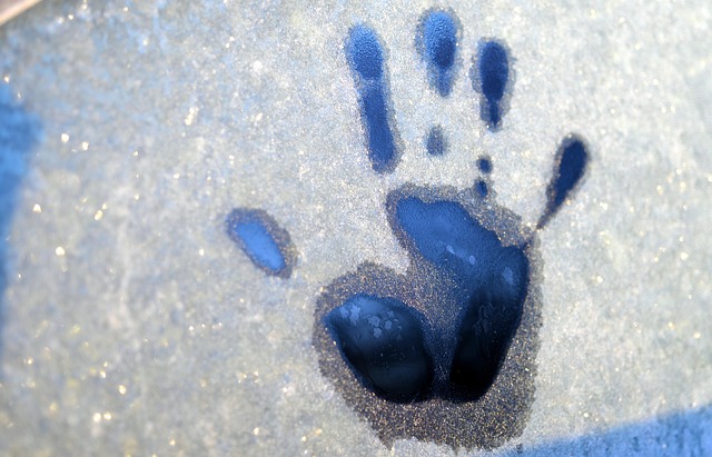 Von fußabdruck zu handabdruck: Aktiv co2-neutral handeln und inspirieren