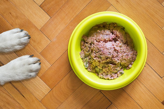 Superfood til din Grand Danois: De bedste ingredienser i hundemad